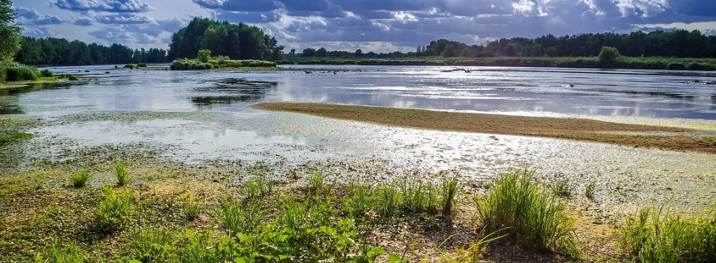 La Loire et sa navigation en eaux peu profondes